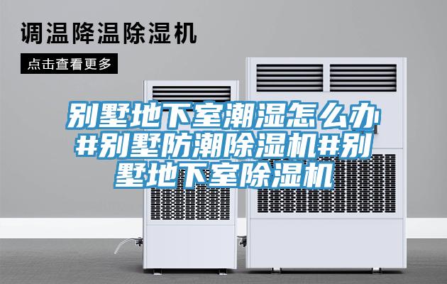别墅地下室潮湿怎么办#别墅防潮猫咪成人官网#别墅地下室猫咪成人官网