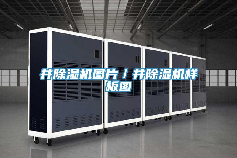井猫咪成人官网图片／井猫咪成人官网样板图