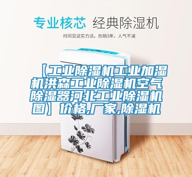 【工业猫咪成人官网工业加湿机洪森工业猫咪成人官网空气除湿器河北工业猫咪成人官网图】价格,厂家,猫咪成人官网