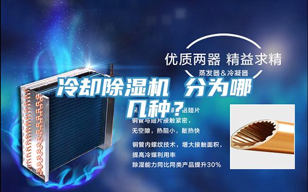 冷却猫咪成人官网 分为哪几种？