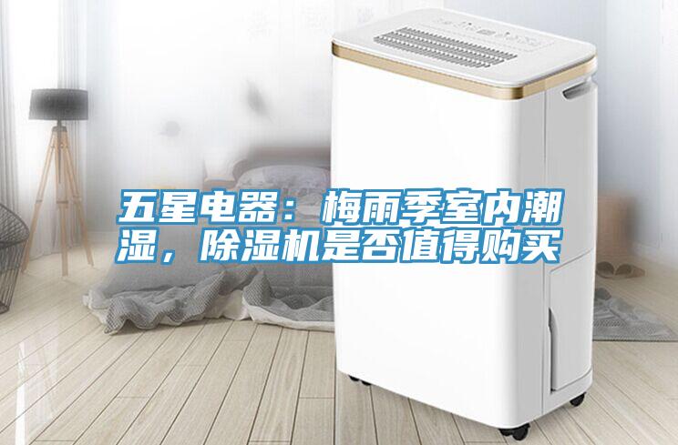 五星电器：梅雨季室内潮湿，猫咪成人官网是否值得购买