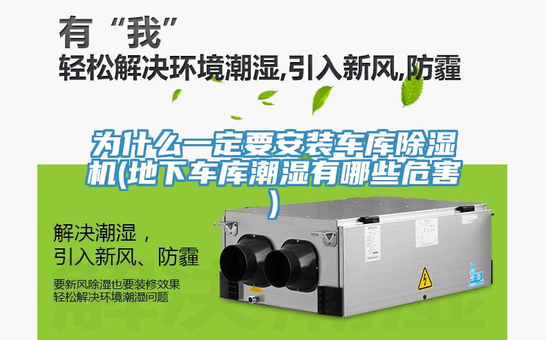 为什么一定要安装车库猫咪成人官网(地下车库潮湿有哪些危害)