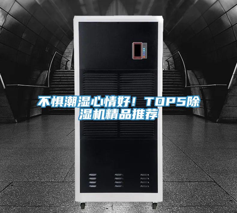 不惧潮湿心情好！TOP5猫咪成人官网精品推荐