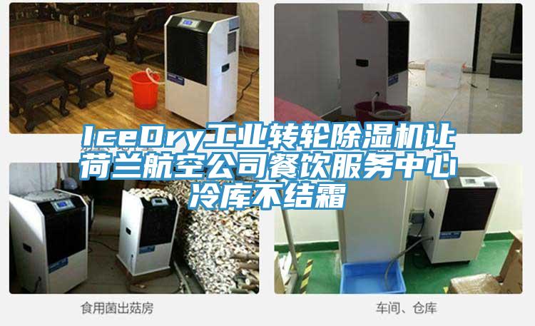 IceDry工业转轮猫咪成人官网让荷兰航空公司餐饮服务中心冷库不结霜