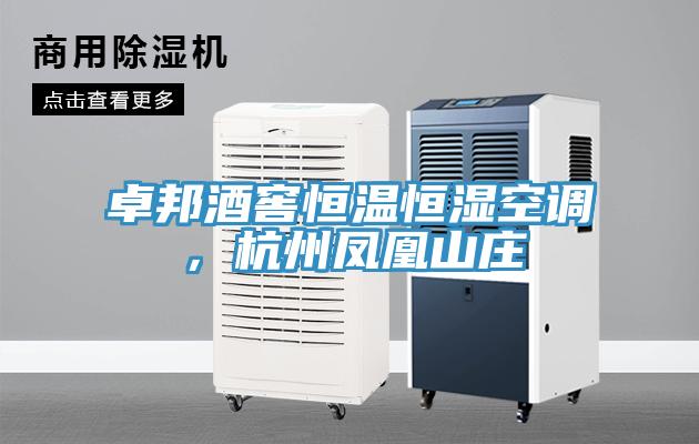 卓邦酒窖恒温恒湿空调，杭州凤凰山庄
