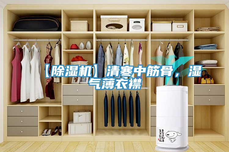 【猫咪成人官网】清寒中筋骨，湿气薄衣襟