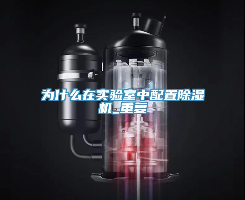 为什么在实验室中配置猫咪成人官网_重复