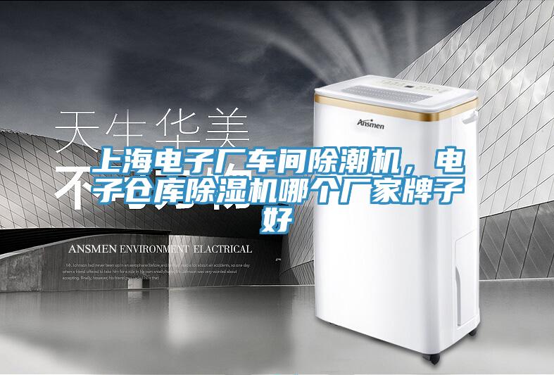 上海电子厂车间除潮机，电子仓库猫咪成人官网哪个厂家牌子好