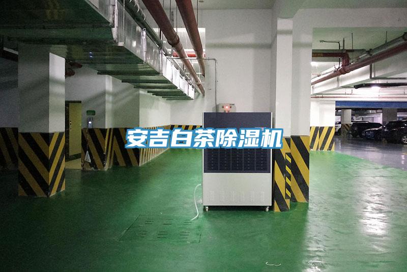 安吉白茶猫咪成人官网