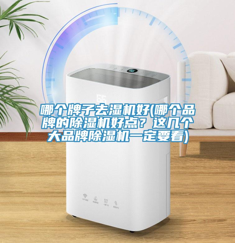 哪个牌子去湿机好(哪个品牌的猫咪成人官网好点？这几个大品牌猫咪成人官网一定要看)