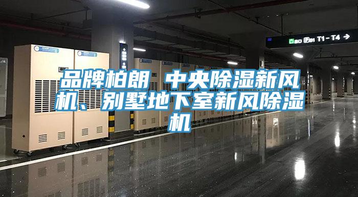 品牌柏朗 中央除湿新风机、别墅地下室新风猫咪成人官网