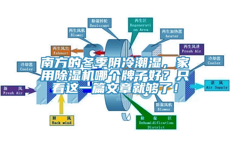 南方的冬季阴冷潮湿，家用猫咪成人官网哪个牌子好？只看这一篇文章就够了！