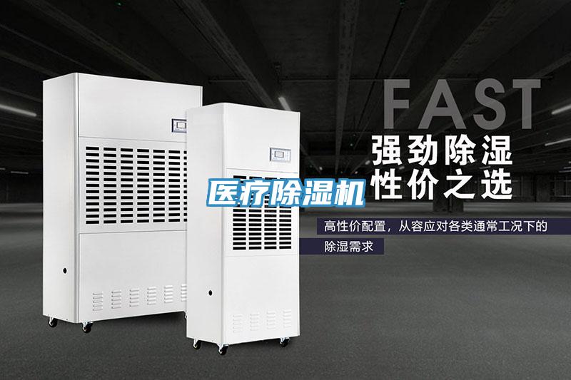 医疗猫咪成人官网