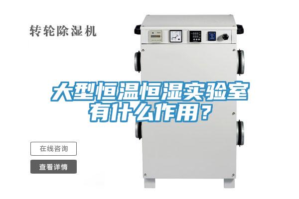 大型恒温恒湿实验室有什么作用？