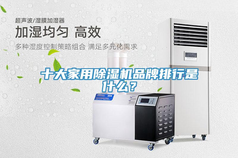 十大家用猫咪成人官网品牌排行是什么？