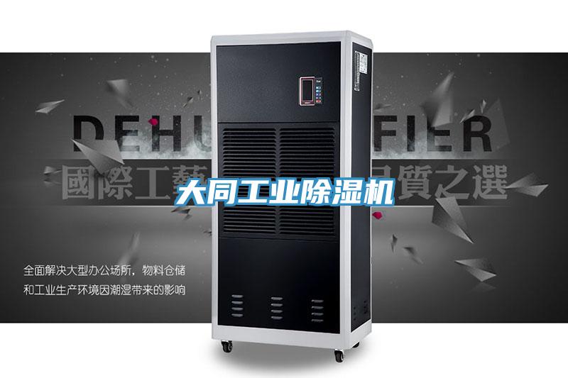 大同工业猫咪成人官网