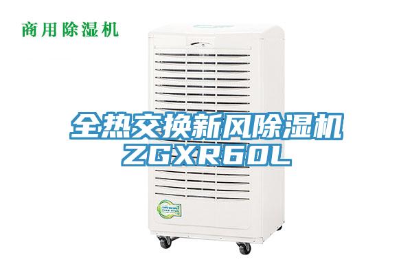 全热交换新风猫咪成人官网ZGXR60L