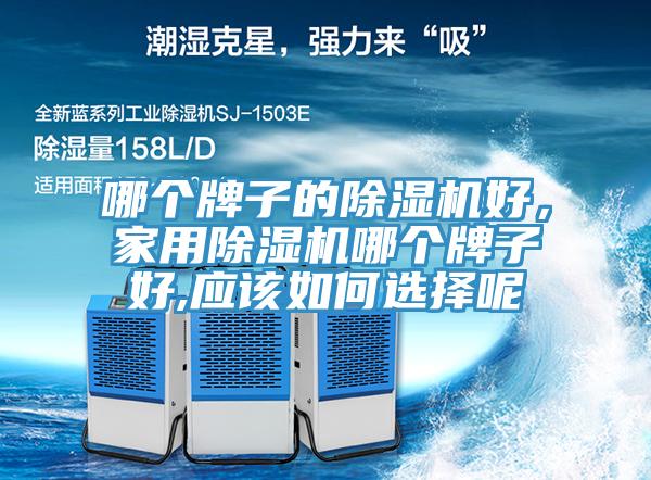 哪个牌子的猫咪成人官网好，家用猫咪成人官网哪个牌子好,应该如何选择呢