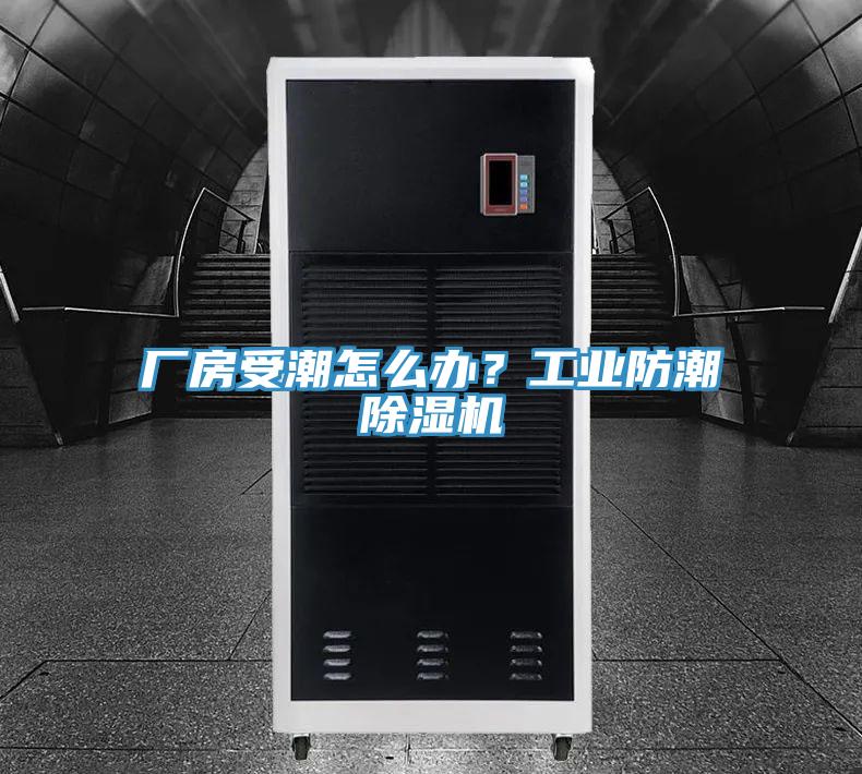 厂房受潮怎么办？工业防潮猫咪成人官网