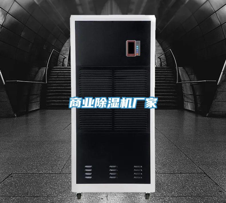 商业猫咪成人官网厂家