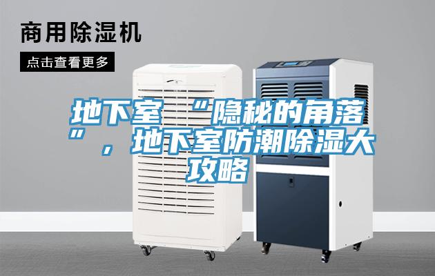 地下室≠“隐秘的角落”，地下室防潮除湿大攻略