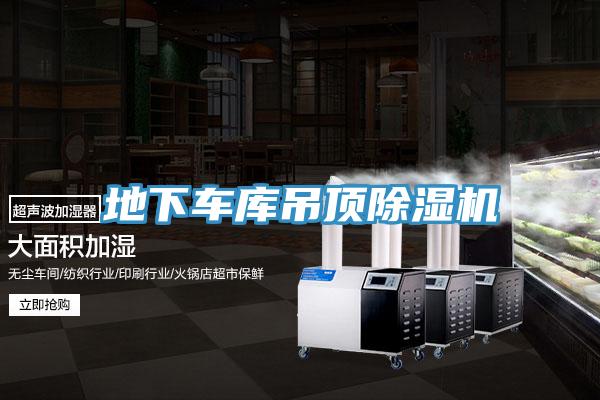 地下车库吊顶猫咪成人官网
