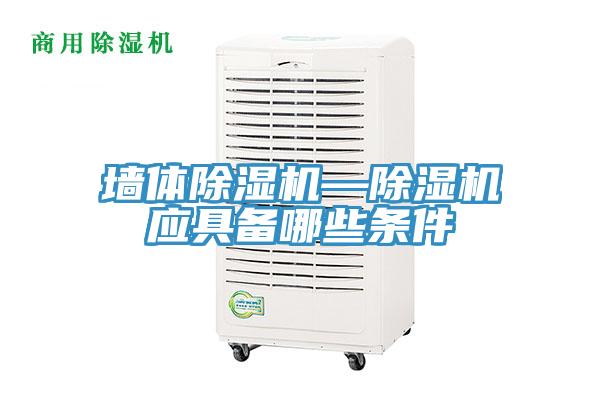 墙体猫咪成人官网—猫咪成人官网应具备哪些条件