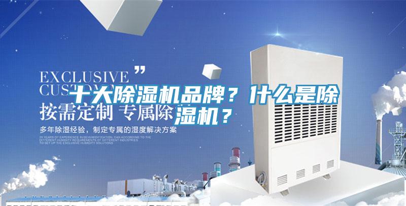 十大猫咪成人官网品牌？什么是猫咪成人官网？