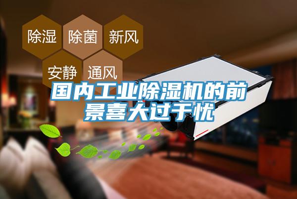 国内工业猫咪成人官网的前景喜大过于忧