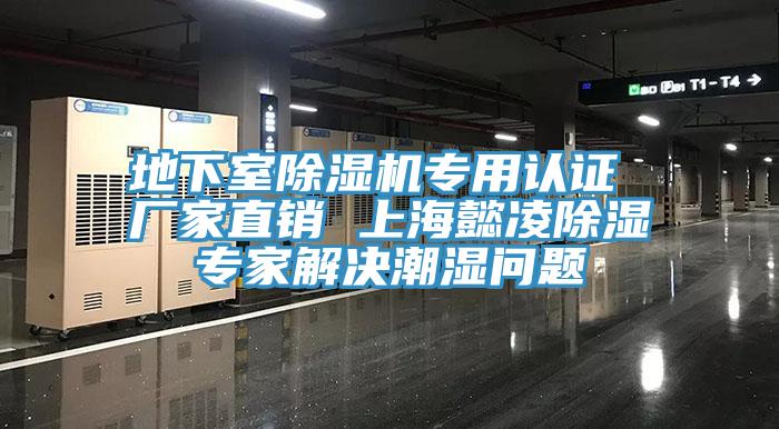 地下室猫咪成人官网专用认证 厂家直销 上海懿凌除湿专家解决潮湿问题