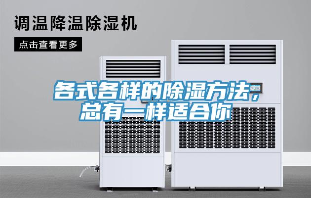 各式各样的除湿方法，总有一样适合你