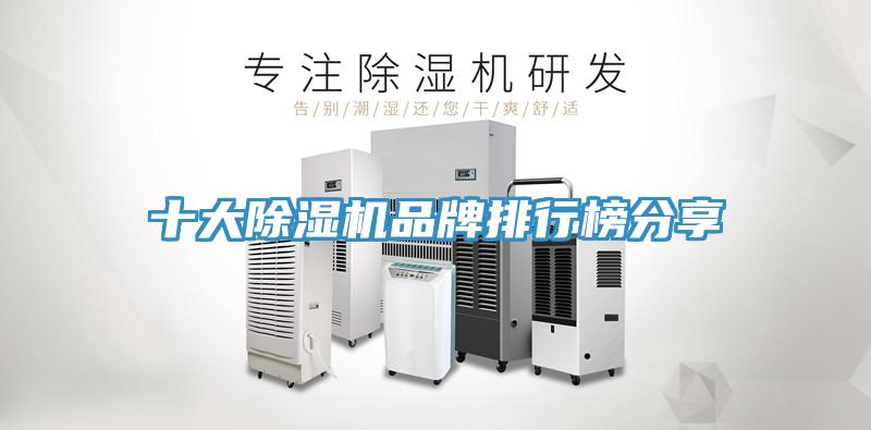 十大猫咪成人官网品牌排行榜分享
