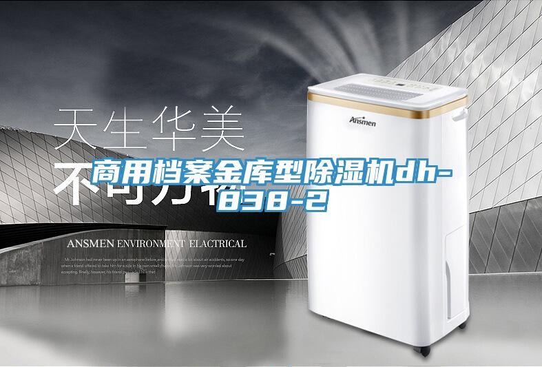 商用档案金库型猫咪成人官网dh-838-2