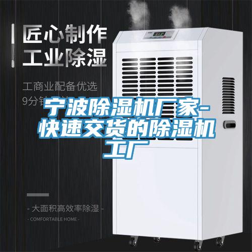 宁波猫咪成人官网厂家-快速交货的猫咪成人官网工厂