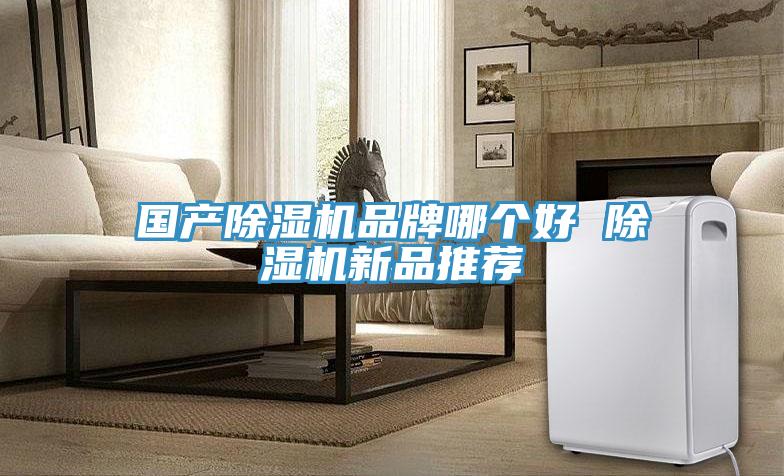 国产猫咪成人官网品牌哪个好 猫咪成人官网新品推荐