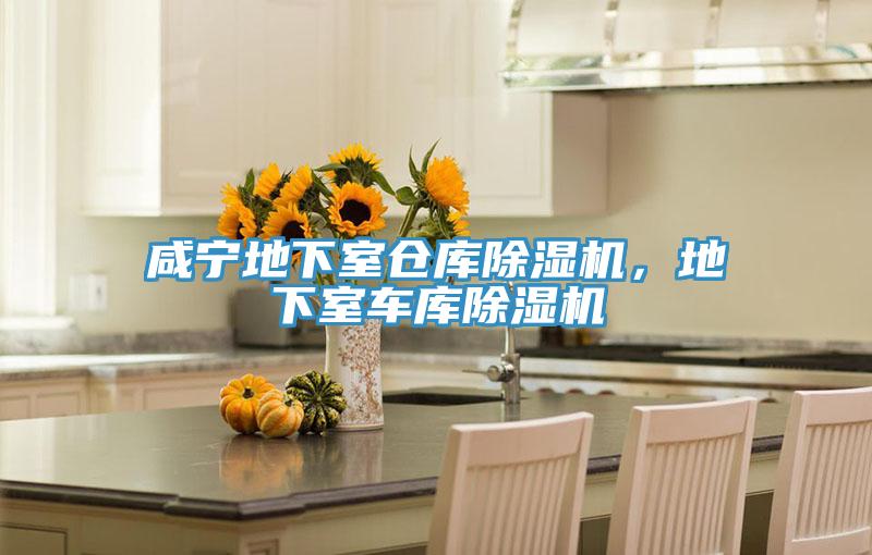 咸宁地下室仓库猫咪成人官网，地下室车库猫咪成人官网