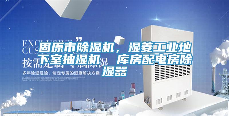 固原市猫咪成人官网，湿菱工业地下室抽湿机  库房配电房除湿器