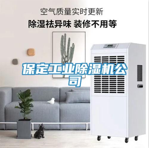 保定工业猫咪成人官网公司