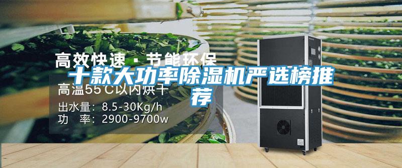 十款大功率猫咪成人官网严选榜推荐
