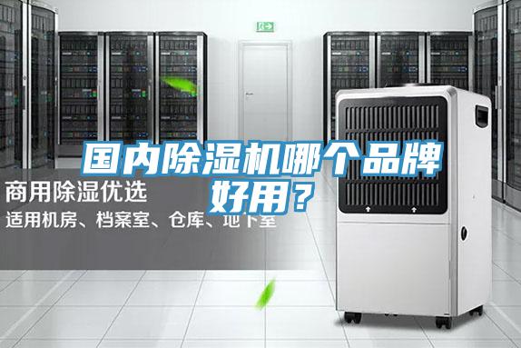 国内猫咪成人官网哪个品牌好用？