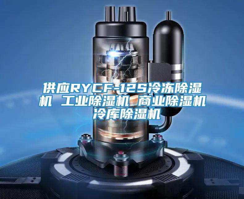 供应RYCF-12S冷冻猫咪成人官网 工业猫咪成人官网 商业猫咪成人官网 冷库猫咪成人官网