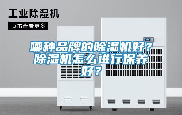 哪种品牌的猫咪成人官网好？猫咪成人官网怎么进行保养好？