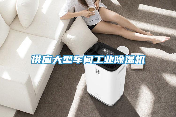 供应大型车间工业猫咪成人官网