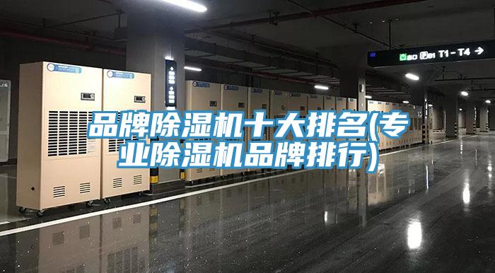 品牌猫咪成人官网十大排名(专业猫咪成人官网品牌排行)