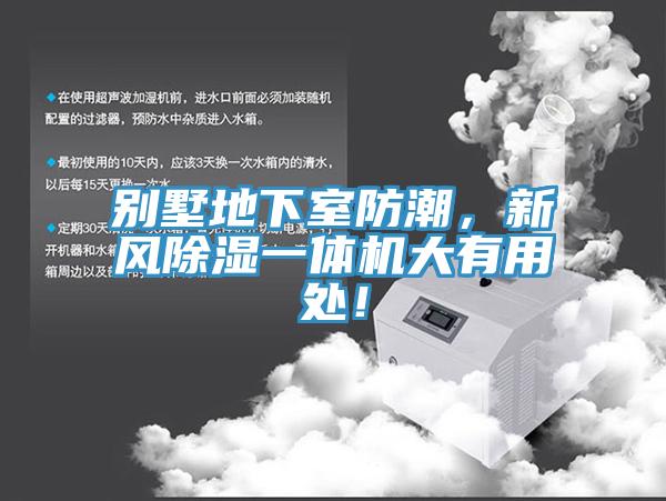 别墅地下室防潮，新风除湿一体机大有用处！