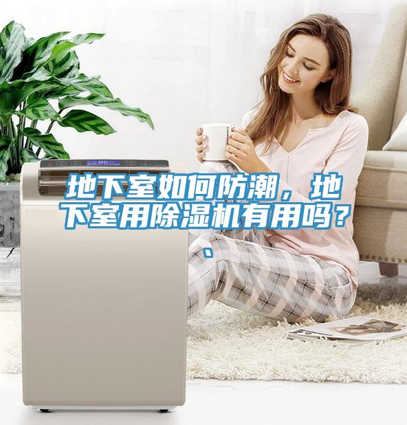 地下室如何防潮，地下室用猫咪成人官网有用吗？、