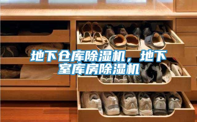 地下仓库猫咪成人官网，地下室库房猫咪成人官网