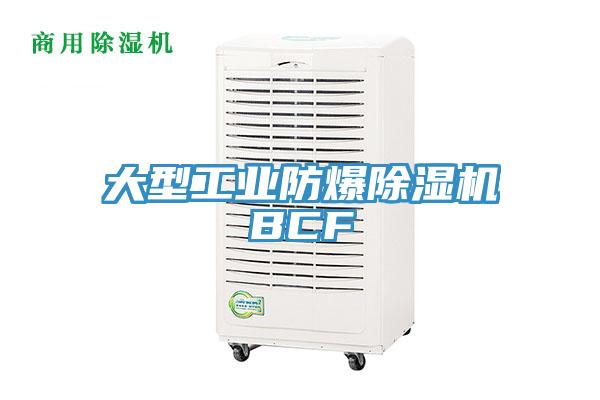 大型工业防爆猫咪成人官网BCF