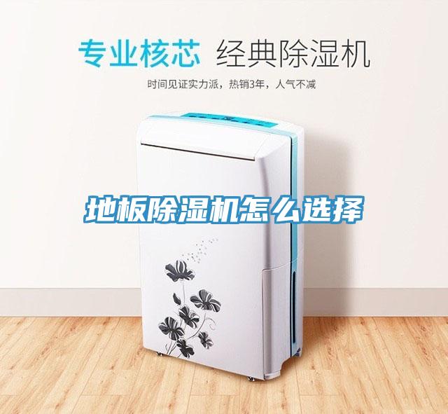 地板猫咪成人官网怎么选择