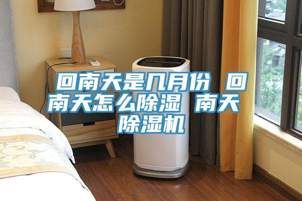 回南天是几月份 回南天怎么除湿 南天 猫咪成人官网
